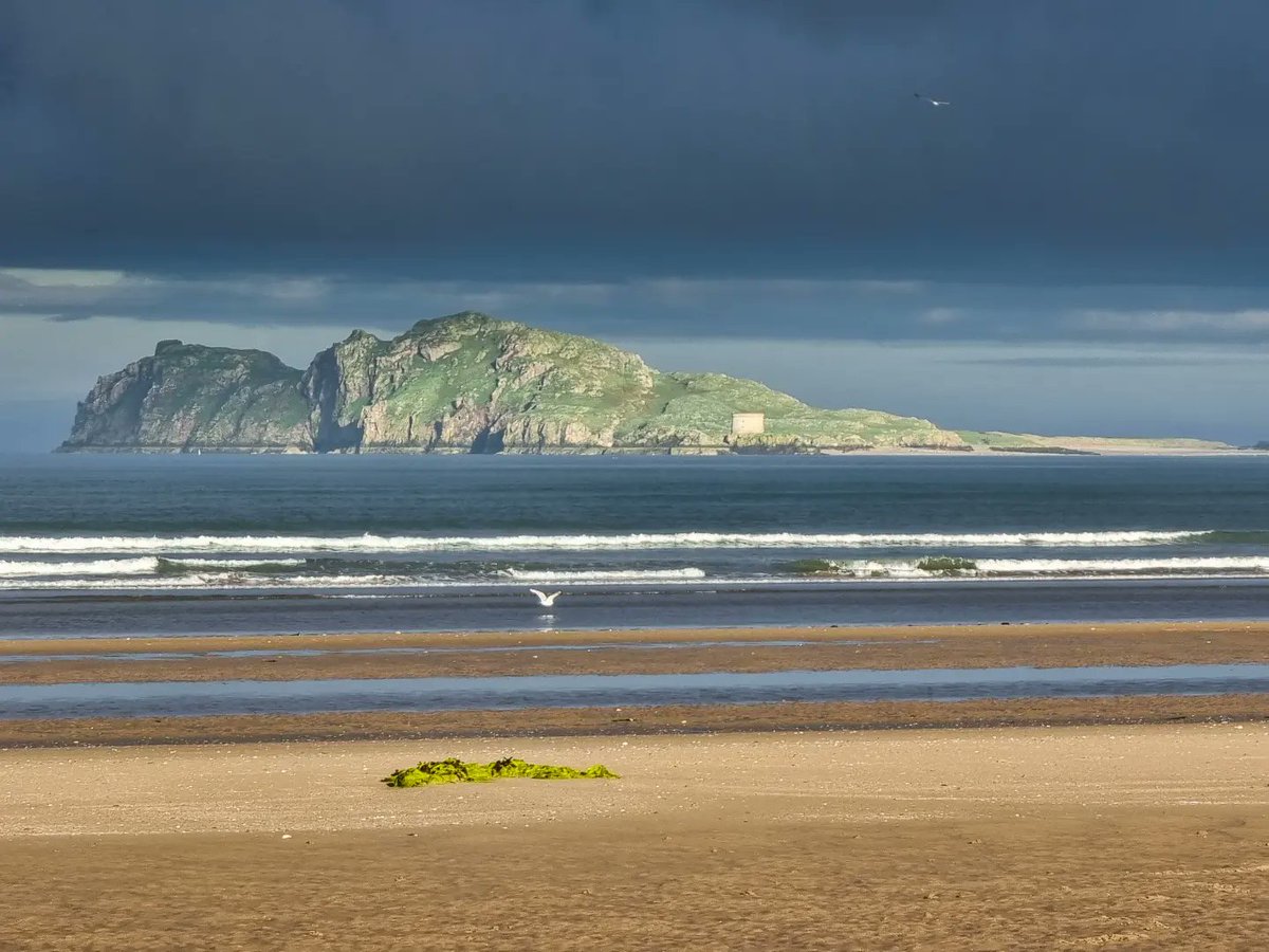 Emma McArdle | Ireland 🇮🇪 tweet media