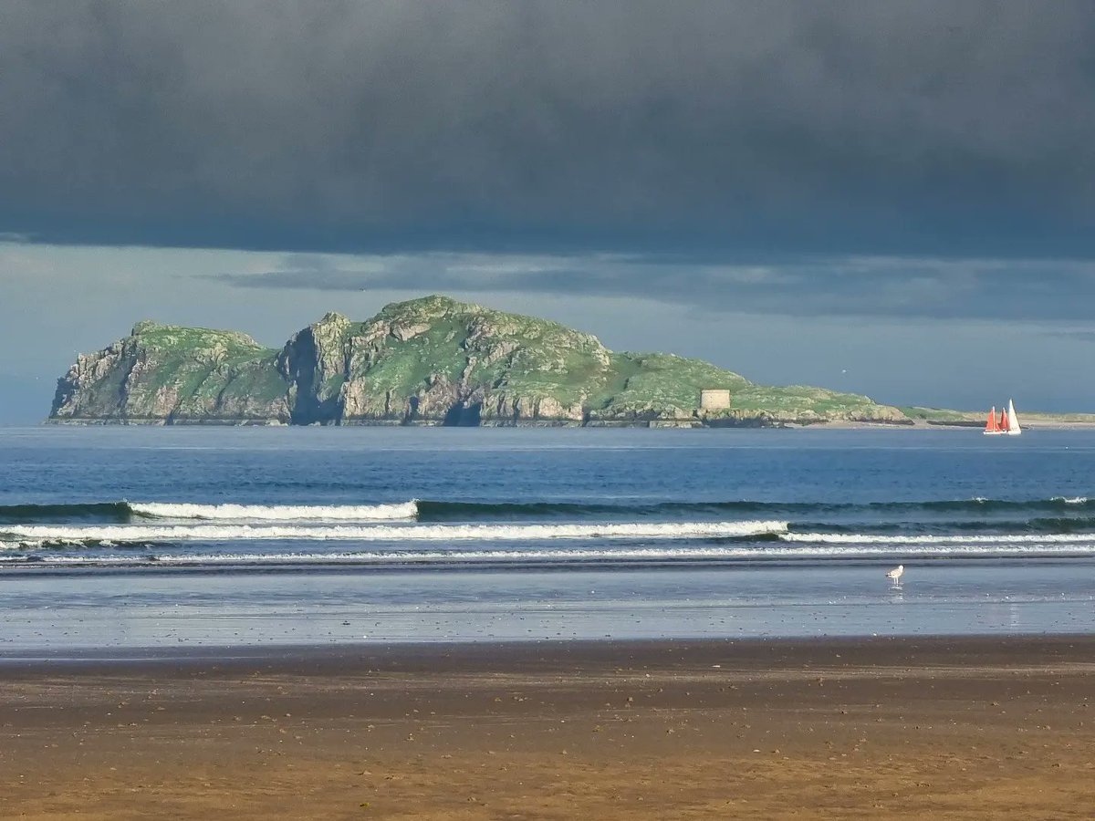 Emma McArdle | Ireland 🇮🇪 tweet media