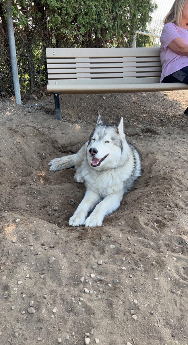 The_A_Word_'s tweet photo. LADIES - 2 SIGNS OF A FUCK BOY TO WATCH OUT FOR👏👏
1. Makes a mess with no regard to those around him
2. Enjoys the outcome with no repercussions!!

Watch out! They're often the cutest ones too😈 https://t.co/RgAac2XU7N