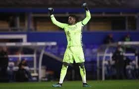 nothingam forest now our time has come