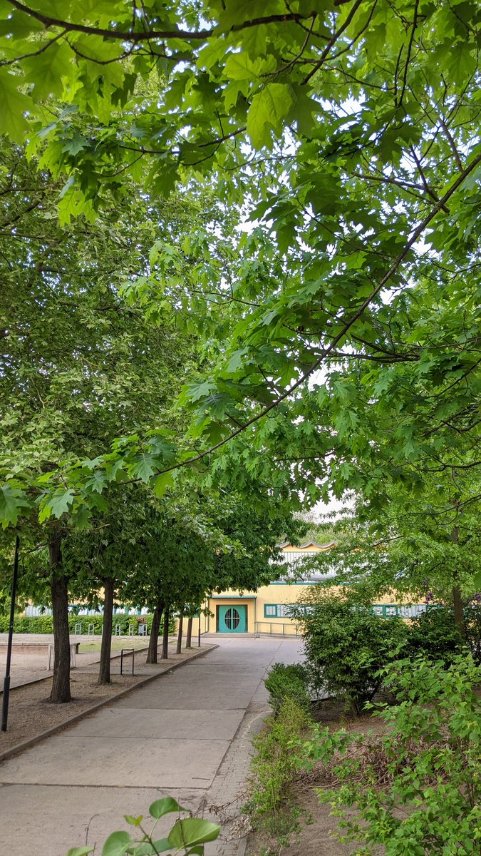 cervus's tweet photo. Beeindruckt haben mich das großzügige Außengelände und der imposante Baumbestand. Auch das naturnahe &amp; sportbetonte Umfeld bietet viel Potenzial für die Lernraumentwicklung der Schule. #schulbau #phasenull https://t.co/z6wSngAn70