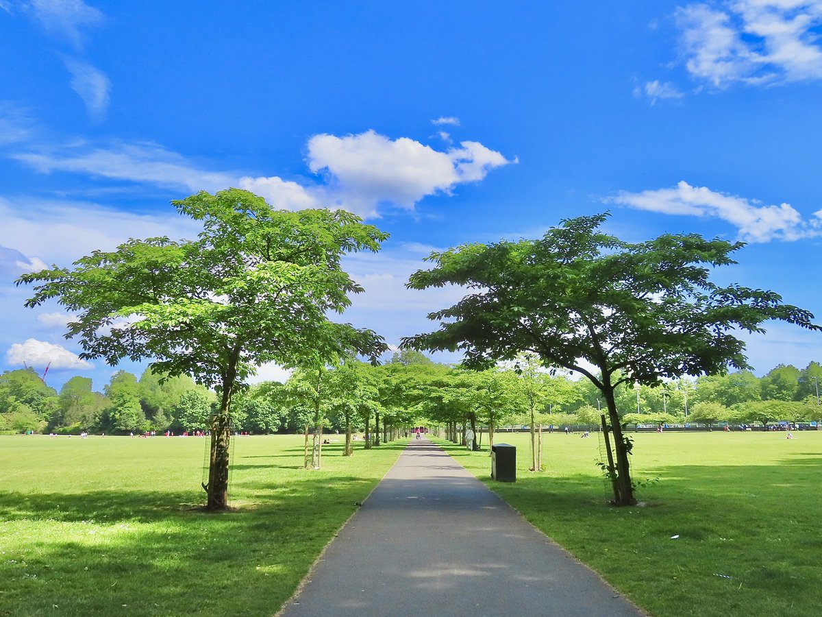 NickDunbar77's tweet photo. A lovely Summer feel in Battersea park today with a view of the #Chelseaembankment ☀️😍 @bbcweather @visitlondon @SallyWeather @HollyJGreen @ThePhotoHour @ChrisPage90 @metoffice @RBKC https://t.co/MhCFzfOG9L