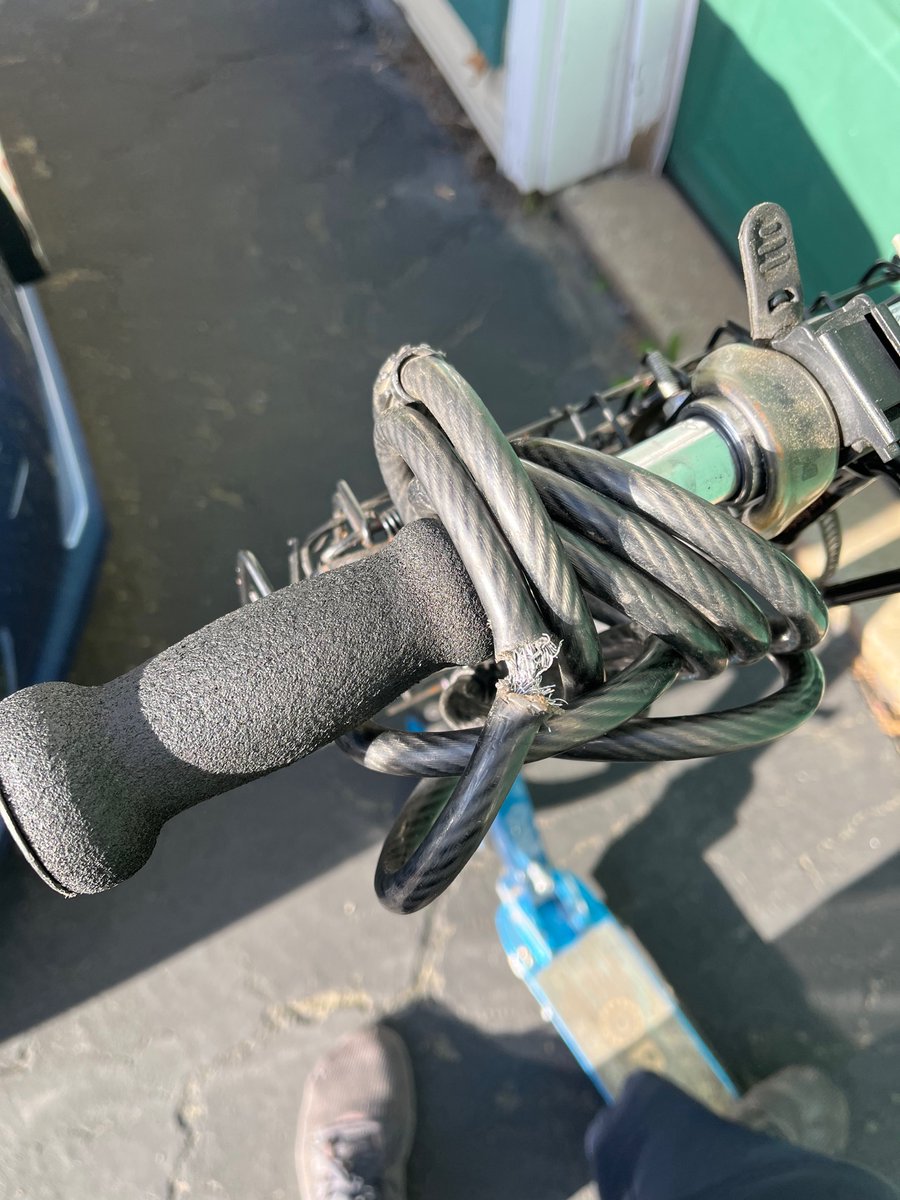 Ian Moriarty tweet media