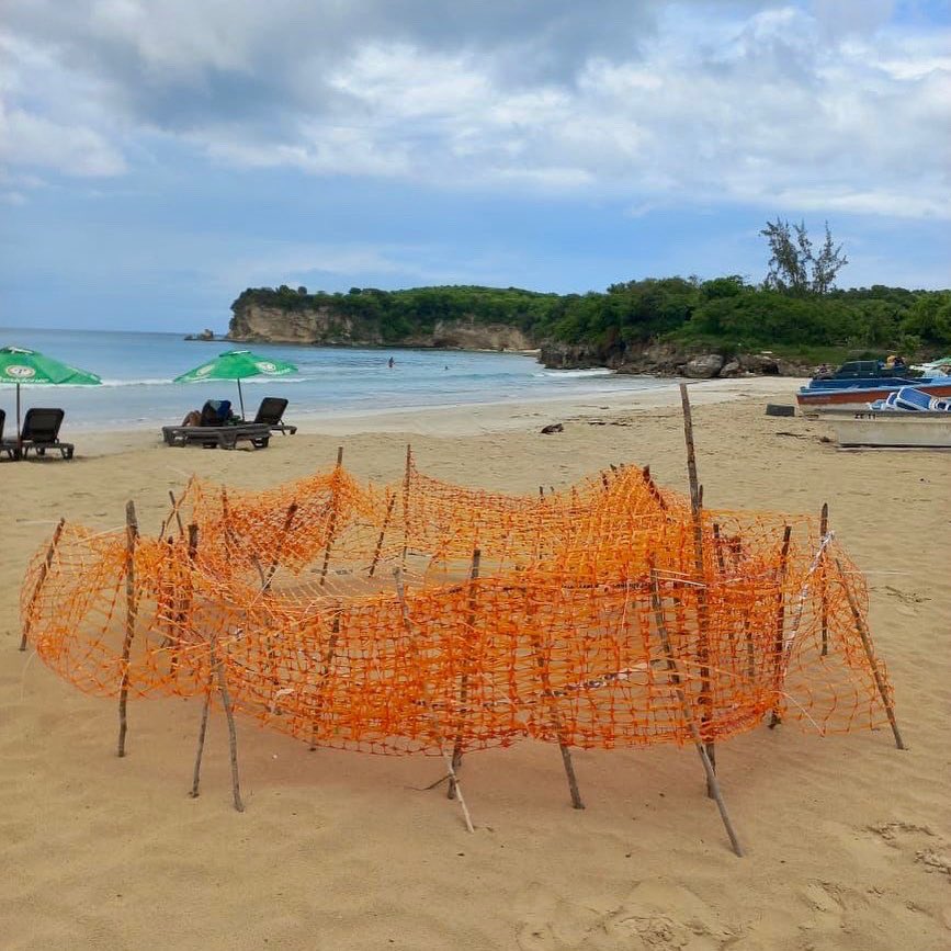 pioneerafi's tweet photo. El pasado 16 de marzo tuvimos un avistamiento de una Tortuga Tinglar desovando en la playa de #Yanuna. Un pescador encontró a la Tortuga atascada y con la ayuda de otros pescadores lograron asegurar su nido antes de que partiera nuevamente hacia el mar. https://t.co/C6NH6gyZAw