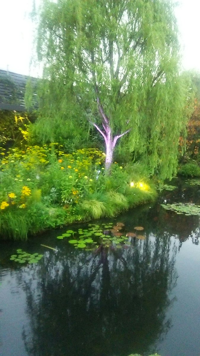 おはようございます！☀杉山清貴さんの楽曲の歌詞のワンフレーズで、何の曲かを当ててください！
①流星🌠にみちびかれ出会いは夜のマリーナ
②星🌠の数ほどあるあきらめたくないもの
③ココロは星🌠座だね愛だけが光る目印
④空に輝く星🌠の数に驚くこともできるはずさ今の君なら
#杉山清貴  さん