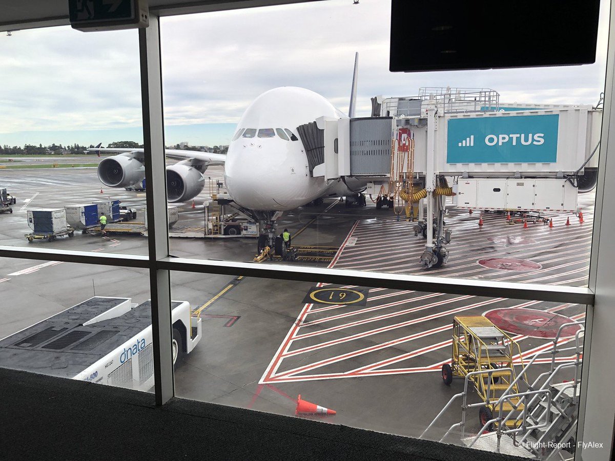 flight_report tweet picture