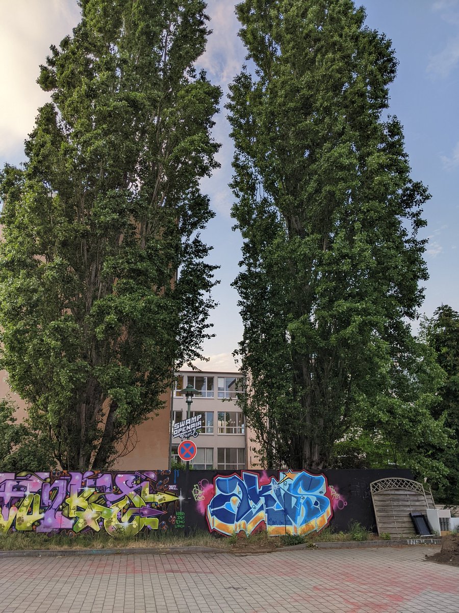 cervus's tweet photo. Beeindruckt haben mich das großzügige Außengelände und der imposante Baumbestand. Auch das naturnahe &amp; sportbetonte Umfeld bietet viel Potenzial für die Lernraumentwicklung der Schule. #schulbau #phasenull https://t.co/z6wSngAn70