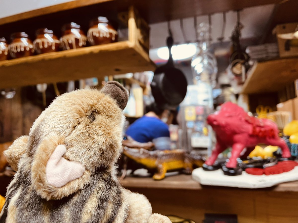 matagi_gibier's tweet photo. 美味しいお肉用意しておまちしてます😋🔥🥩

#焼肉 #伊勢宮 #新天地 #叉鬼の焼肉酒場 #奥出雲 #お酒  #島根 #松江 #松江焼肉 https://t.co/Akq8wdeXQX