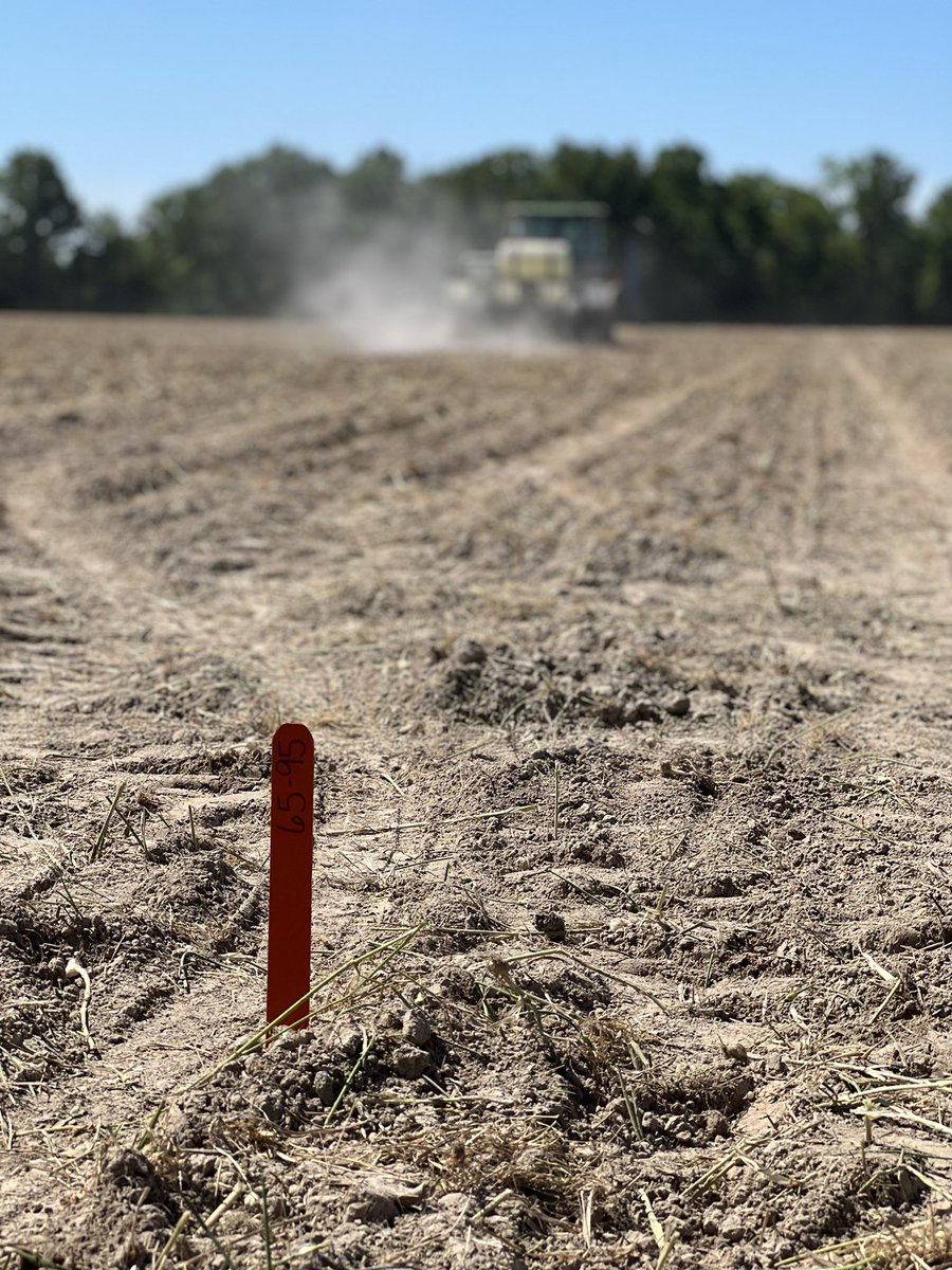 HaneyGrace's tweet photo. @DKAS_SIL Plot time! 15 hybrids goin in the ground! @Valier31 kept them rows straight! https://t.co/lA9C55csLj