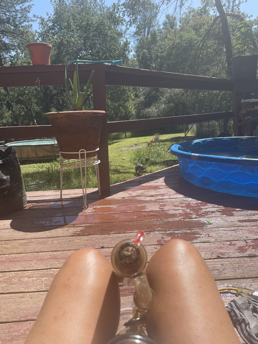 Bong rips in the sun, water fight with the kiddo, fetch with my gutter dog ❣️ #priceless #blessed #stoned #tuesdayvibe #california #goldcountry