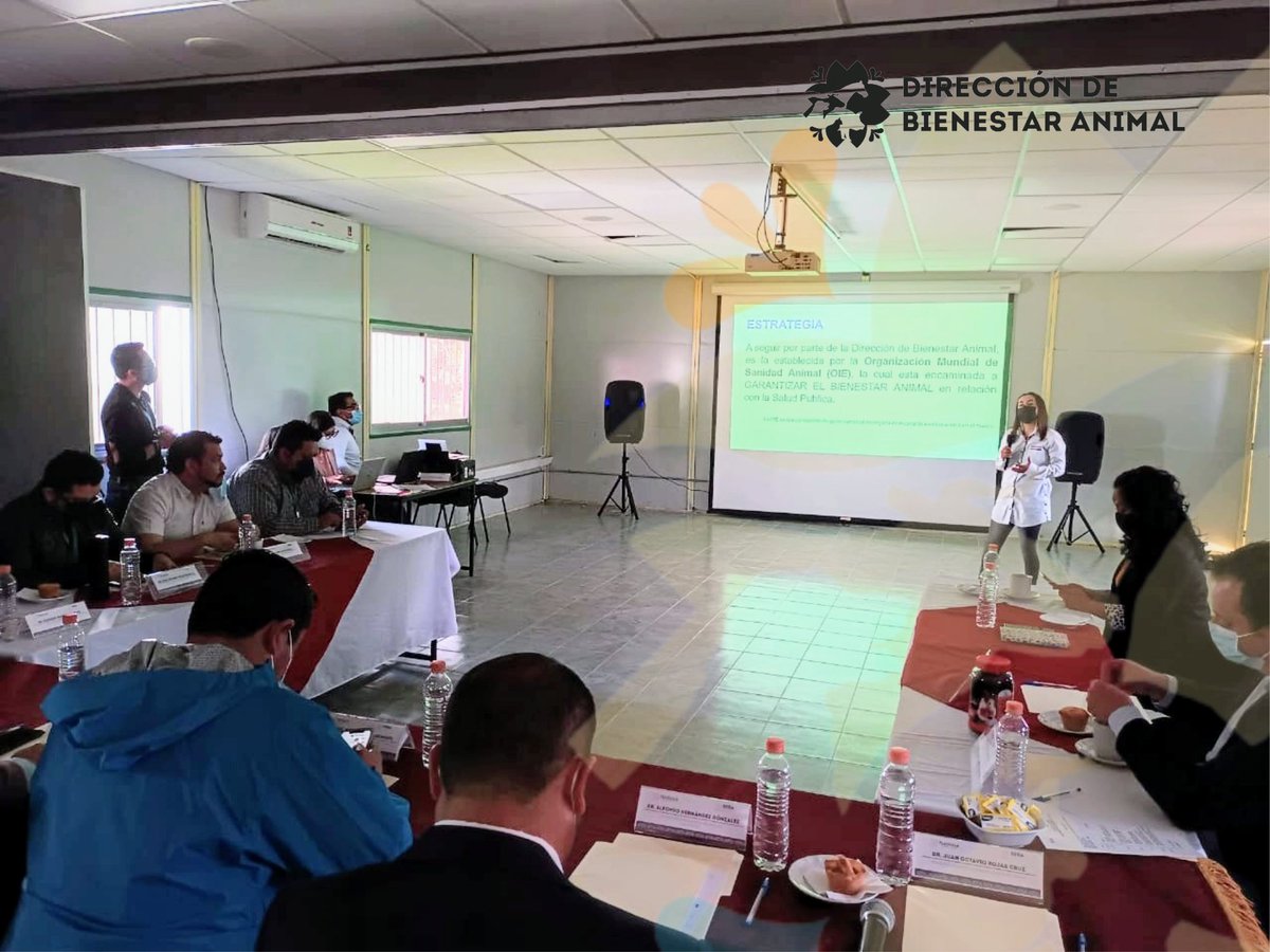 BAnimalTlx's tweet photo. El 13 de mayo de 2022, se efectuó la 2.ª Reunión Ordinaria del Comité Coordinador de la Red Tlaxcalteca de Municipios por la Salud, en la cual la Dirección de Bienestar Animal expuso el "Proyecto de Bienestar Animal en relación con la Salud Pública para el estado de Tlaxcala". https://t.co/ZfK2pdfKH9