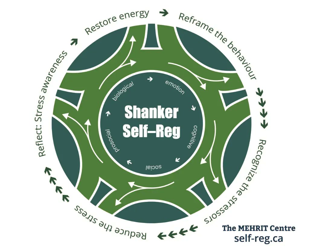 Self_Reg's tweet photo. The Steps of the #ShankerMethod.💡
📐They are not linear and can be pursued in any order.
🌄They make up a custom-tailored process that deals with the ups and downs of stress-reactivity that we all experience in life. #SelfReg
Download our graphic here: https://t.co/5raDyK9kzQ https://t.co/tmxDKA7Rb6