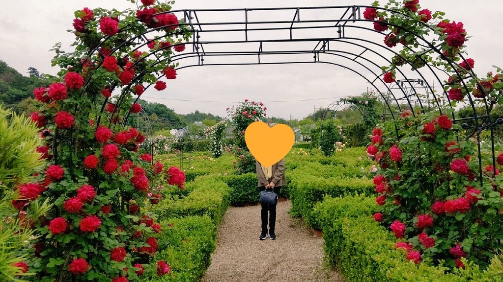 花咲きファーム Twitter Search Twitter