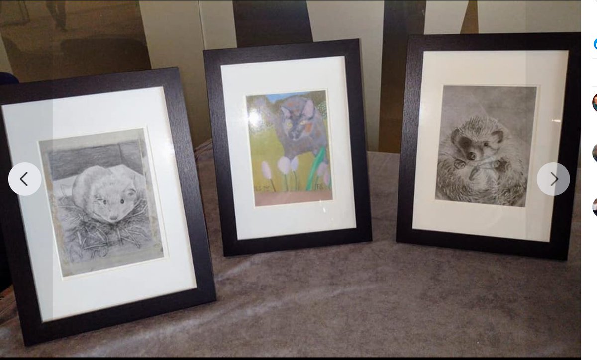 PhysioFunction's tweet photo. Meg sustained brain injury after falling during a climb, read her story: https://t.co/csJHmveCBs 
Although Meg may now have challenges in life, she enjoys sailing, canoeing &amp; her first outdoor climb in years! Also an artist we have some of her work on show in our clinic.
#ABIWeek https://t.co/6SA357o3j1