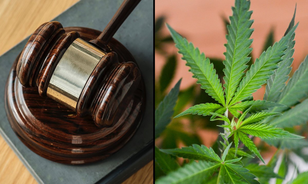 CannaClinicians's tweet photo. Recently the Justice Department told the US Supreme Court not to take a case concerning workers compensation for medical cannabis. 

https://t.co/dlklu5Q0yP

#cannabis #medicalcannabis #cannabislaws #prohibition #cannabismedicine #workerscomp https://t.co/YjvA9wYOEZ