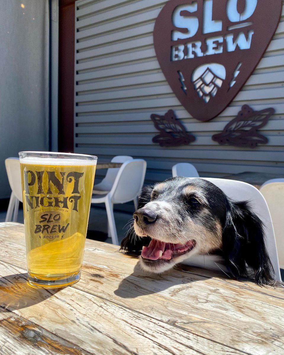 slobrew's tweet photo. POV: It’s Pint Night so you and your squad cruise over to @slobrewrock for $4 beers 😎

Partake every Tuesday night from 5-9pm! $6 pint glasses and just $4 fills 🍺 https://t.co/B8rK93Gu7j