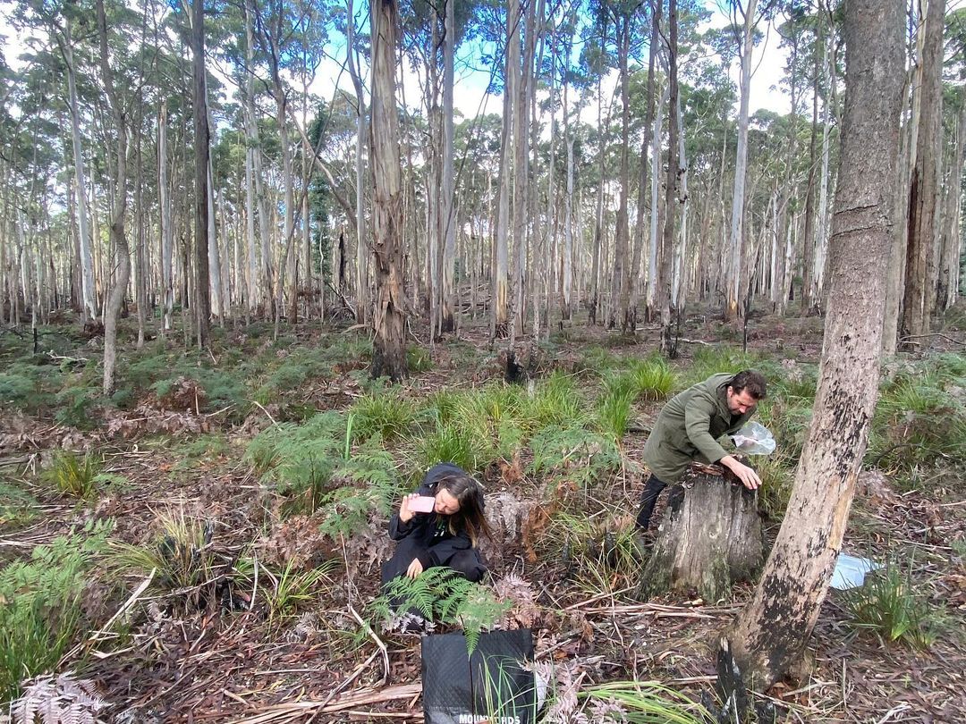 RTW_Aus's tweet photo. Introducing #CommunityConservationists: MYCOmmunity are leading #volunteer-run citizen #mycology & fungi education in Australia
We're helping MYCOmmunity tell their story through film & advising on comms & engagement
#NVW2022
Get involved: https://t.co/DKvSdCc5Ld
๐ธ:MYCOmmunity https://t.co/qTG59jNIIn