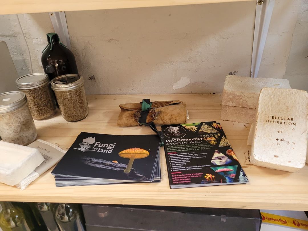 RTW_Aus's tweet photo. Introducing #CommunityConservationists: MYCOmmunity are leading #volunteer-run citizen #mycology & fungi education in Australia
We're helping MYCOmmunity tell their story through film & advising on comms & engagement
#NVW2022
Get involved: https://t.co/DKvSdCc5Ld
๐ธ:MYCOmmunity https://t.co/qTG59jNIIn