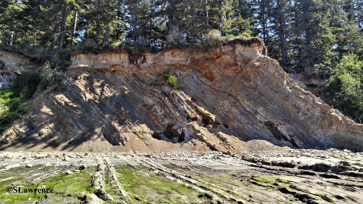 RocDrAdventures's tweet photo. Doesn't get any better than this, classic #AngularUnconformity at Cape Arago, Oregon. #Geology #Photography #Oregon #StructuralGeology @CapeAragoPress #Structure #Coastal #Amazing #Textbook #CrossSection #Tilted https://t.co/Bznc8x1tMu