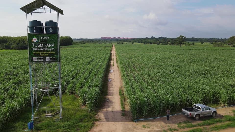 Thai Udon Sugar Mill located in NE Thailand planted one of their own farms using the Gessner 2 tonne single row billet planter.  They planted these paddocks back on 1st October 2021 and from recent feedback they are very happy with the results.