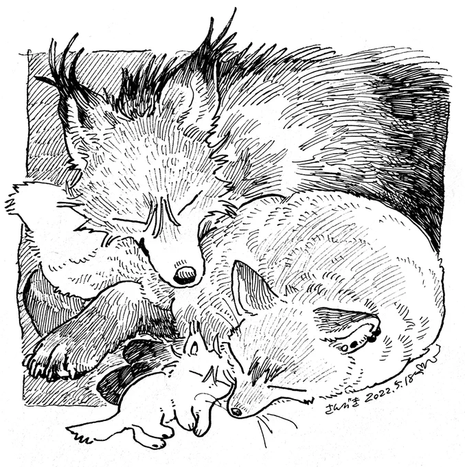 (獣化)まどろみ 