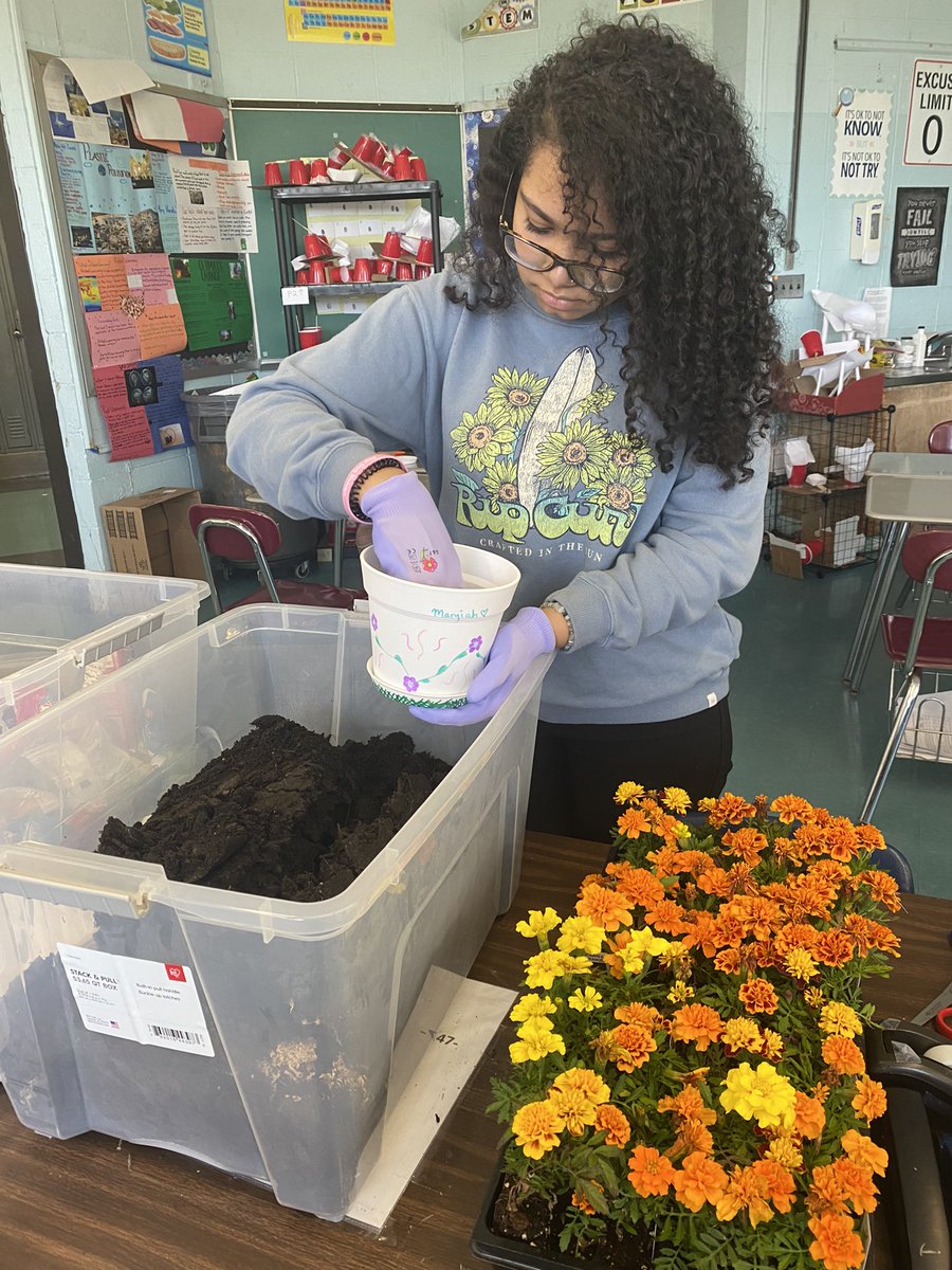 Kathleen Mancuso tweet media