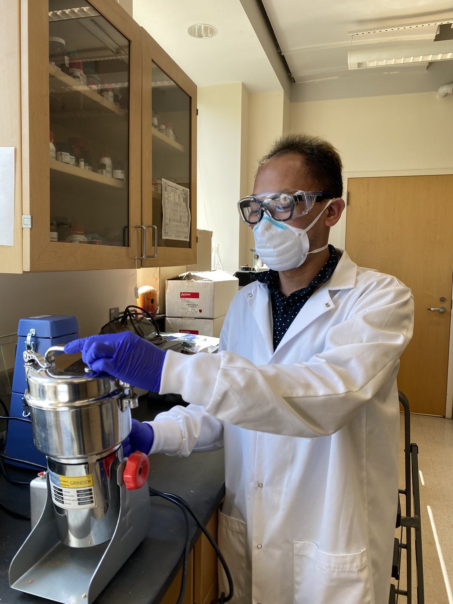 warren_vidar's tweet image. Ground up some habanero peppers 🌶 (Capsicum chinense) today for the next phase of my project. Excited to see this work moving forward. ⏭

PS: I moved the grinder under the hood for obvious reasons. 😂

#cech_us_out #cechlab #uncg #phdlife #AcademicTwitter