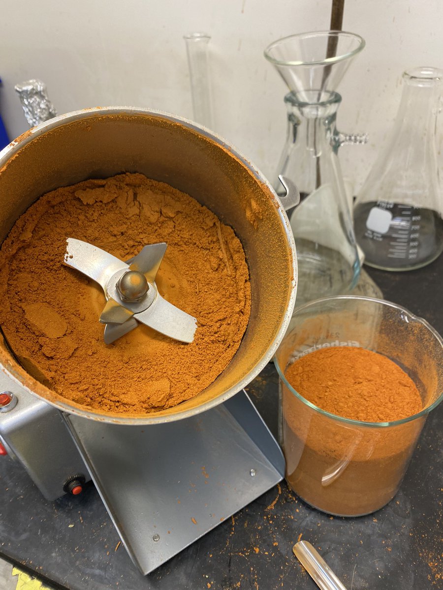 warren_vidar's tweet image. Ground up some habanero peppers 🌶 (Capsicum chinense) today for the next phase of my project. Excited to see this work moving forward. ⏭

PS: I moved the grinder under the hood for obvious reasons. 😂

#cech_us_out #cechlab #uncg #phdlife #AcademicTwitter