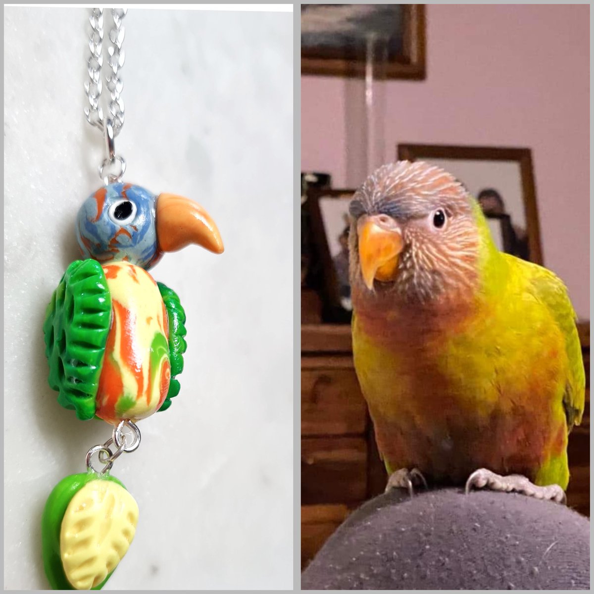 Sweet little lory 💙💚💛🧡

 #polymerclayearrings #polymerclaycreations #handmadebrisbane #caique  #brisbanehandmade #brisbanesmallbusiness #smallbusiness #polymerclay #customjewellery #lorikeetjewellery