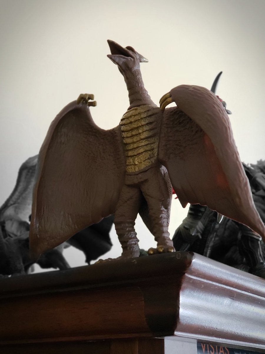 Louster3's tweet photo. @OdoIslandPod finally found the mighty flying beast https://t.co/rliTy3TgNG
