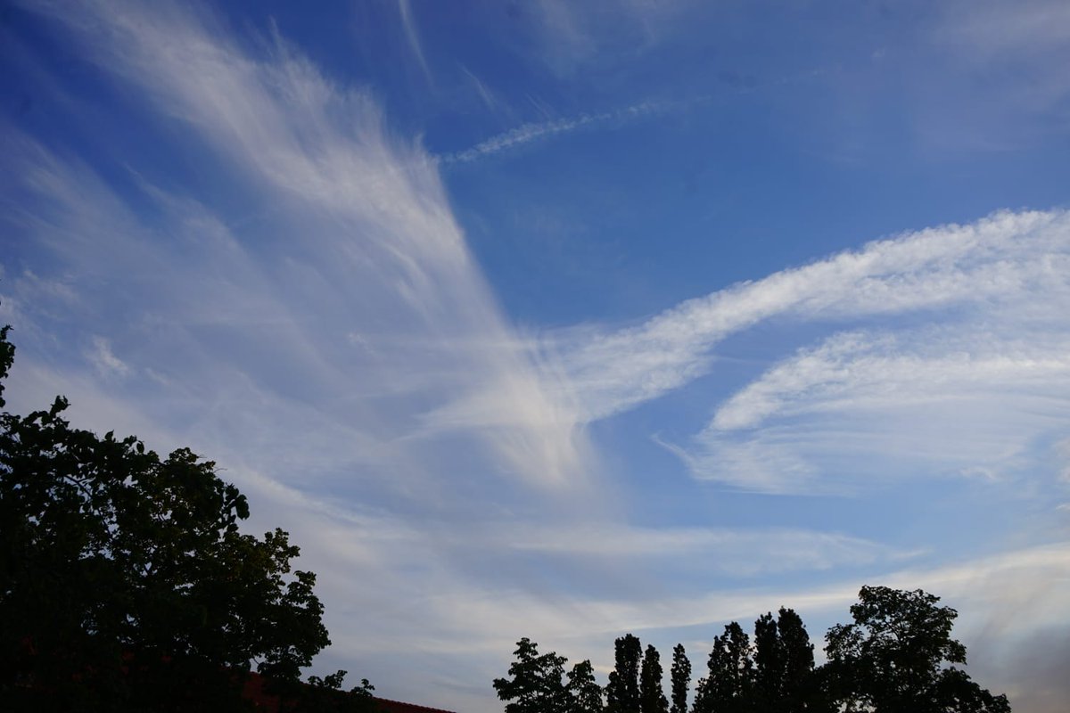 Principessa 🙏🕊 tweet media