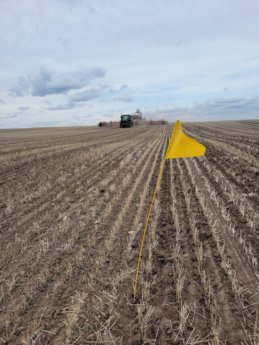 Page__Newton's tweet photo. Thx to #supercooperator Lawrence Wipf & the boys at Bench Colony for #trialwork today! Shout out to @Bayer4CropsCA @dekalb for their help and #ClimateFieldview #westcdnag #Plant22 https://t.co/WsXEg4Clhi