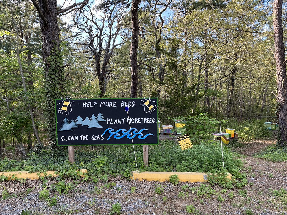 EnvSusTCNJ's tweet image. What a fabulous day dedicated to #climatechangeed! I started the day meeting with the @Earth_Warriors_ team and am ending it @SaveBarnegatBay with #projectseacohort3. @louammentorp @MuziLearningLab @MsLiwacz @TCNJSchoolofEd #tcnj @NJAudubon
