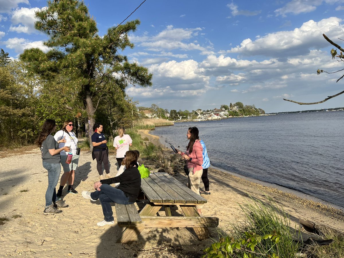 EnvSusTCNJ's tweet image. What a fabulous day dedicated to #climatechangeed! I started the day meeting with the @Earth_Warriors_ team and am ending it @SaveBarnegatBay with #projectseacohort3. @louammentorp @MuziLearningLab @MsLiwacz @TCNJSchoolofEd #tcnj @NJAudubon