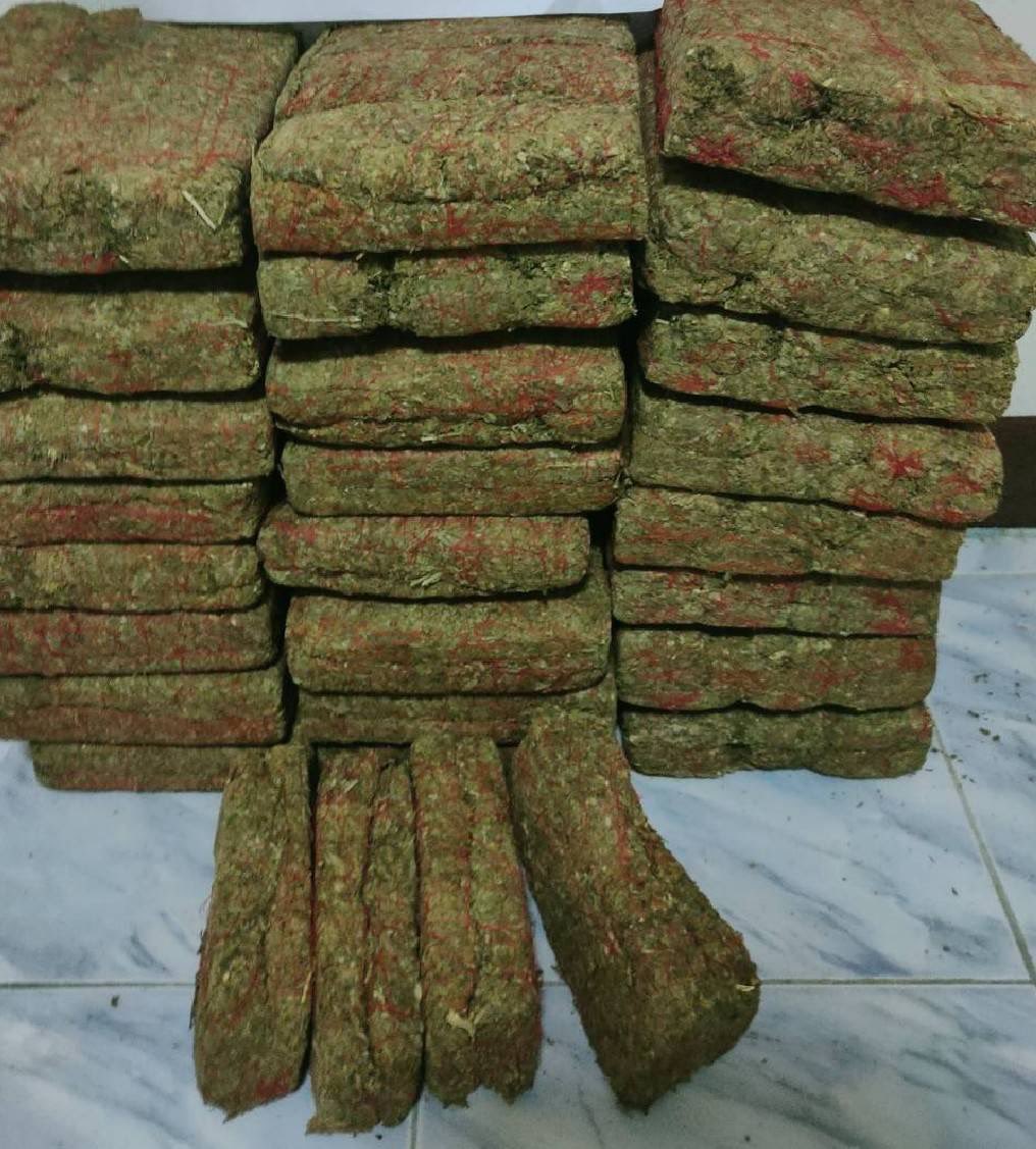 eegam1 tweet picture