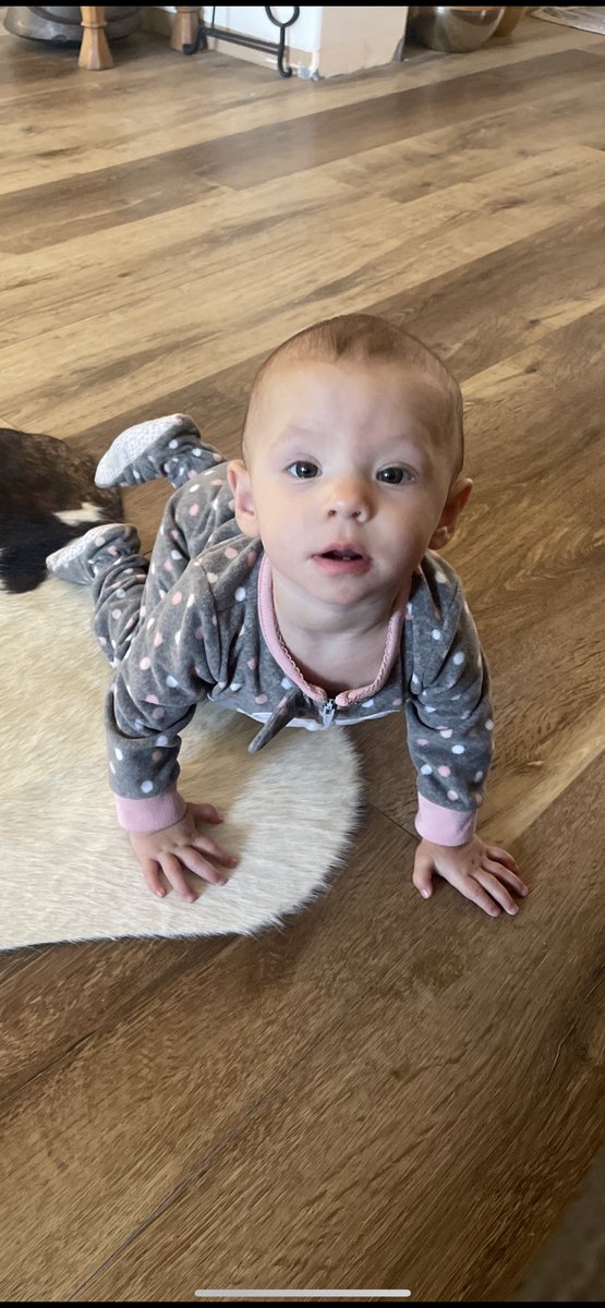 ashlynmcclell's tweet photo. 9 months in 9 months out 😎😎 https://t.co/NtITgw2AeW