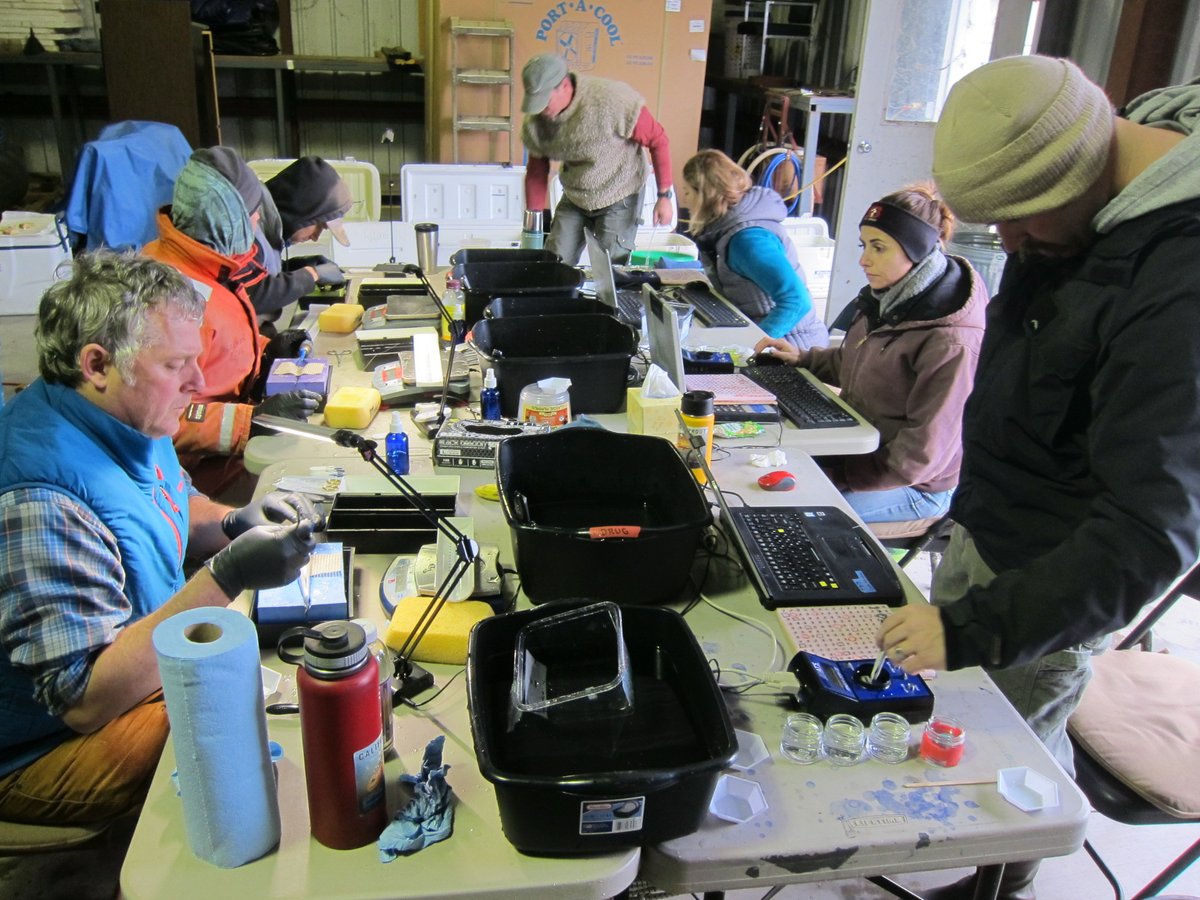 Ever heard of acoustic telemetry??? 
Our #UCSC researchers have been using it to conduct two important studies on threatened populations of Chinook salmon and steelhead trout in the Central Valley. Read more about their research in this thread! 

bit.ly/3srT8j5
(1/4)