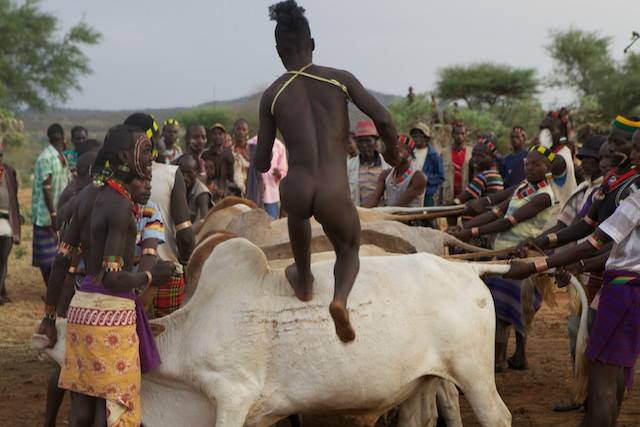 Exoticethiopian's tweet photo. Experiencing Your Choices!
#Planyour adventures tours to the cultural route of Ethiopia,where the ancient African tribes live!
#BullJumping &amp; #StickFightingCeremony
#HamerTribe, #MursiTribe
#SouthOmoValley
Try to attend at this ritual!
@Landoforigins  @motethiopia  @flyethiopian https://t.co/EttBKgA8Wj