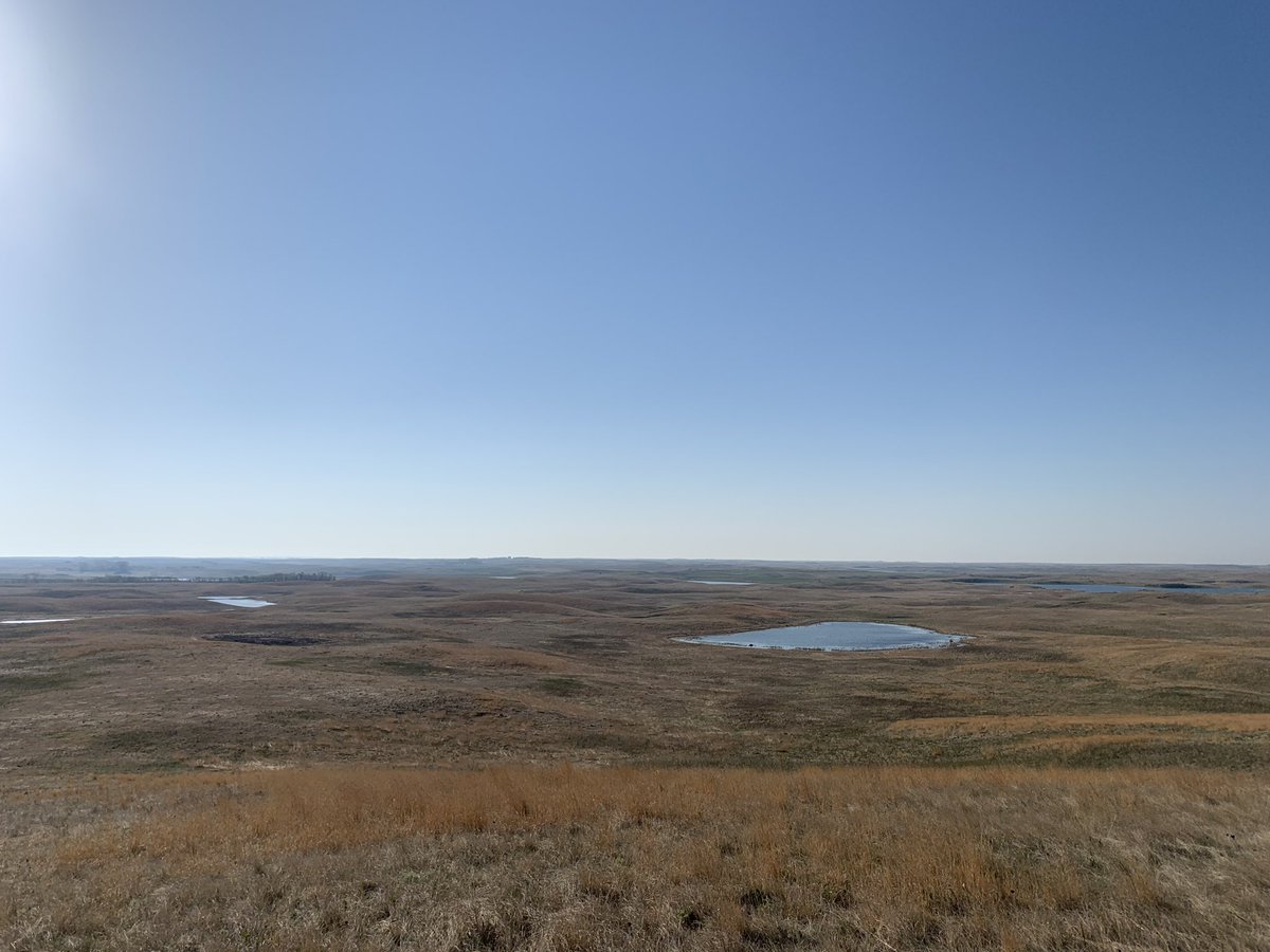 TjLinder's tweet photo. A little less dry and a little more green out on the prairie today (left) than one exact year ago (right). A little warmth in the coming days and weeks will do a lot for the prairies, but they’re in much better shape already! Looking forward to whats in store for the summer! https://t.co/xFjMiomPQl