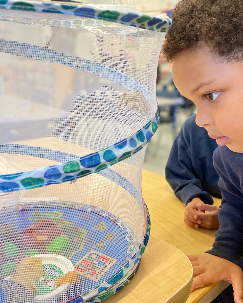 Today K1B let their butterflies go. Thank you to <a href="/insectlore/">alex ⚡️</a>  for making this possible! Always such a special time for the kids! <a href="/SJP2CALowerMill/">SJP2CA Lower Mills</a>