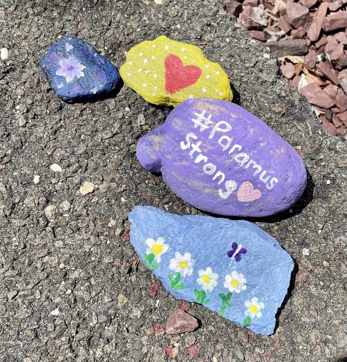 mrs_vindigni's tweet photo. Got outside today to paint beautiful rocks for our school! 🎨#ParamusStrong https://t.co/EYWBPys3rv