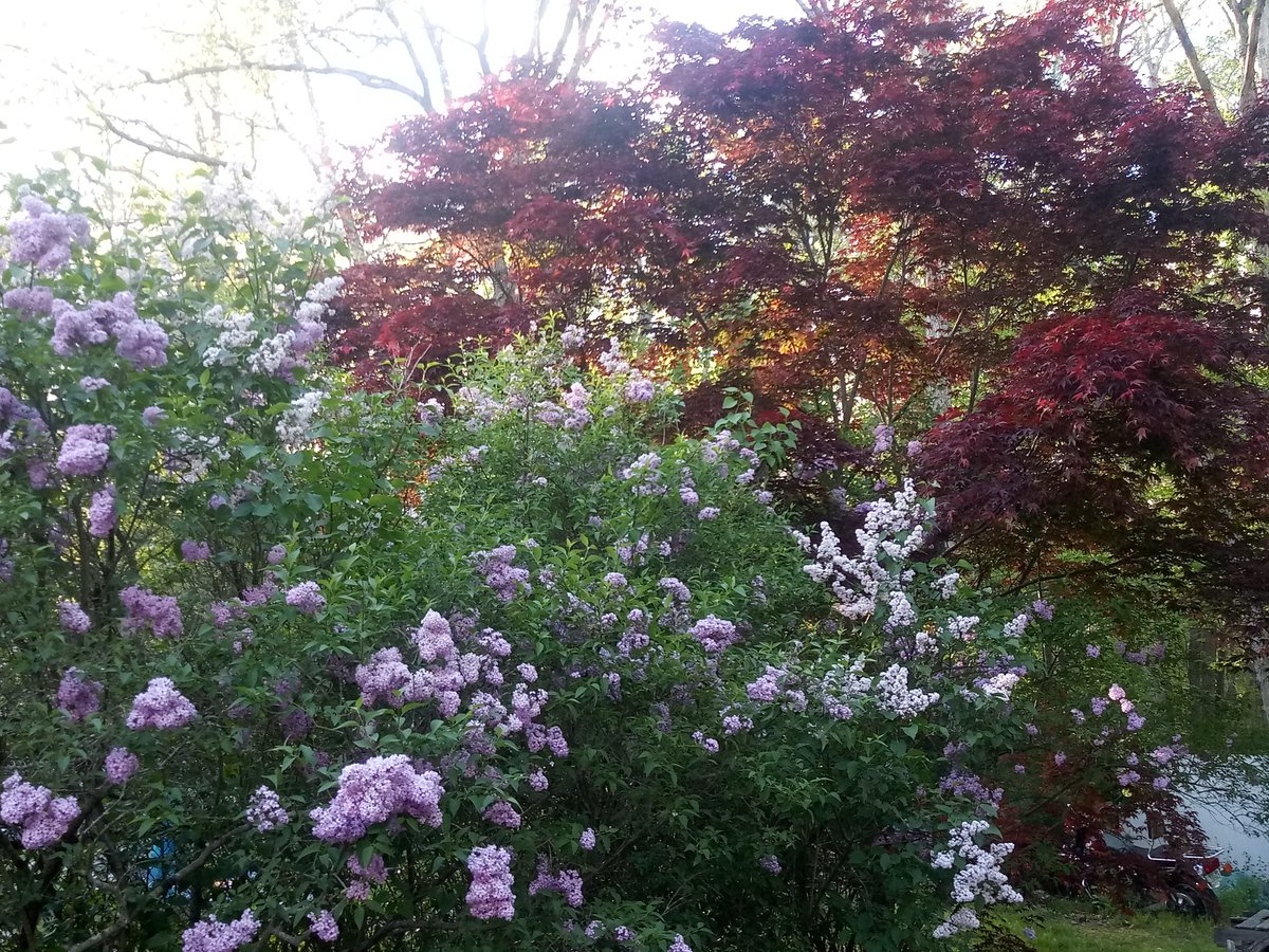 CGryphon0's tweet photo. Spring is in full swing! https://t.co/oIfrxXeI47