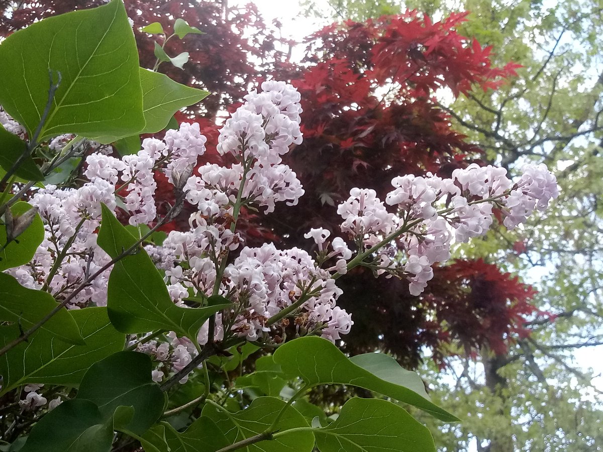 CGryphon0's tweet photo. Spring is in full swing! https://t.co/oIfrxXeI47