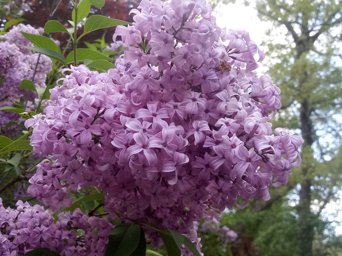 CGryphon0's tweet photo. Spring is in full swing! https://t.co/oIfrxXeI47