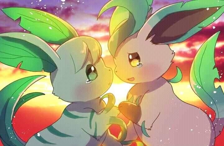 Dunfy7's tweet photo. Witch do you all prefer Leafeon or Beta Leafeon https://t.co/jETQBjvMYH