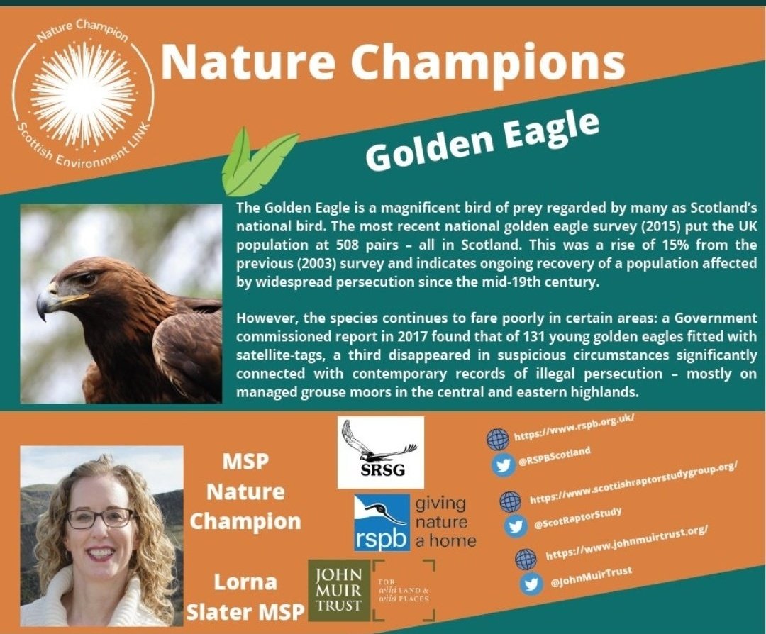ASPaton's tweet photo. Nature's Champions. That aged well @lornaslater #Strathbraan https://t.co/BEZSc4qTaW