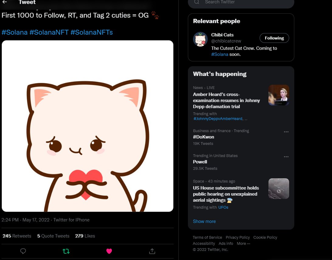 rompfNFT's tweet photo. @chibicatcrew @ausaja_nft @slab_sol HIIII CHIBI CAT HIII I LOVE YOU https://t.co/4Qw1E39GNw