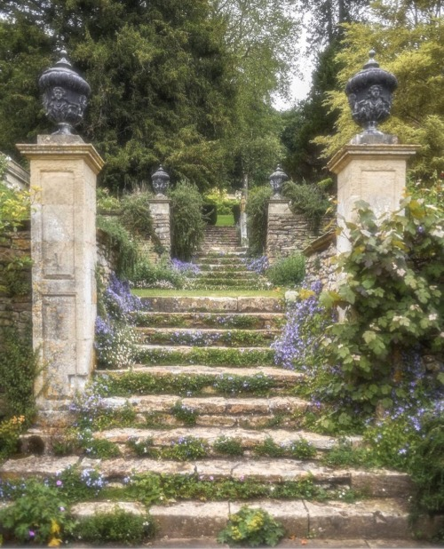 300moods's tweet photo. fairy garden https://t.co/Z43EoYbrBN