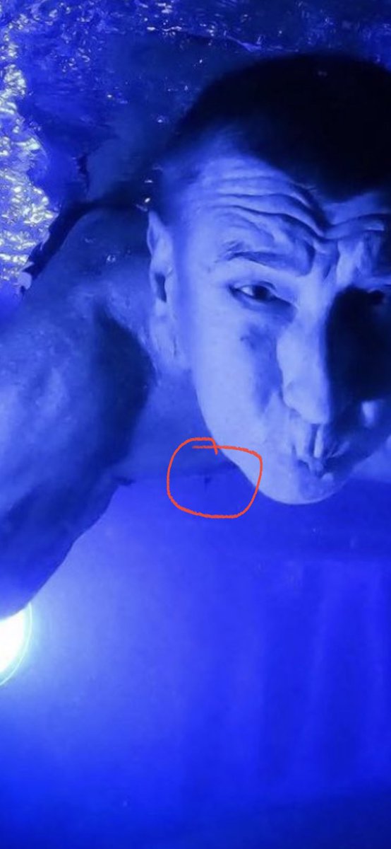 ZelenaRaketa tweet media