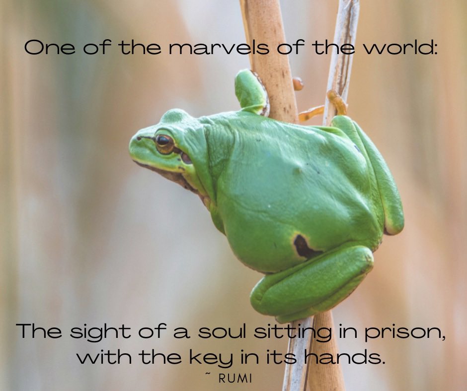 IvolveGen's tweet photo. we’ve entirely lost contact with, and understanding of, our true inherent nature, resulting in mass suffering, or as merely functioning.. Only through relationship with MotherNature, can we remember ourselves, take our place on Earth and discover our unique personal power 
🌎💫❤️ https://t.co/XTKyDws2Ni